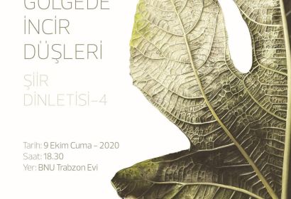Galeri 1