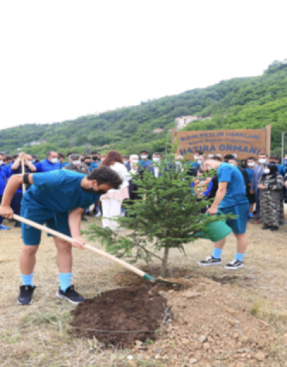 Bizim Neslin Fidanları Hatıra Ormanı Projesi