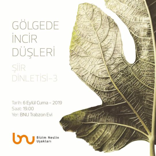 3.Gölge’de İncir Düşleri Şiir Dinletisi